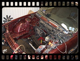 Engine bay after cleaning